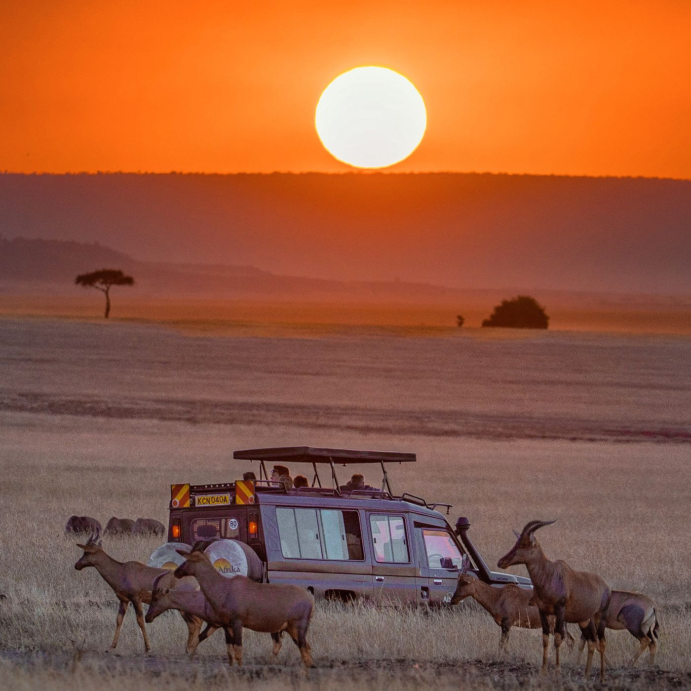 Safari vehicle and topi antelope under a blazing orange sunset in the Masai Mara